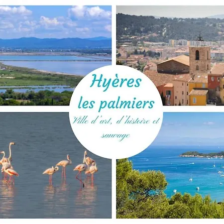 Le Serenite -clim-wifi-proche Centre Ville-plages Apartment